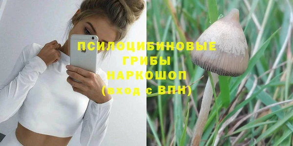 ПСИЛОЦИБИНОВЫЕ ГРИБЫ Абаза