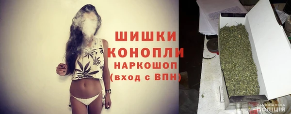 ПСИЛОЦИБИНОВЫЕ ГРИБЫ Абаза