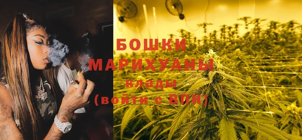ПСИЛОЦИБИНОВЫЕ ГРИБЫ Абаза