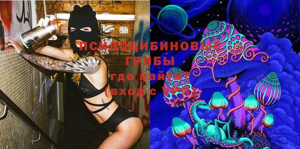 прущие грибы Абдулино