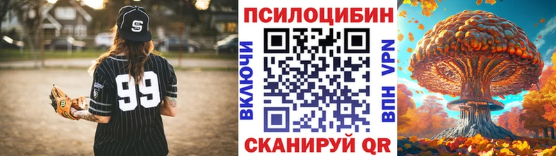 купить закладку Мамадыш Псилоцибиновые грибы мухоморы